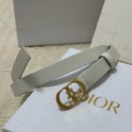 Dior 30 Montaigne Lucky Charms 腰带