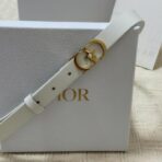 Dior 30 Montaigne Lucky Charms 腰带 - 图片 2