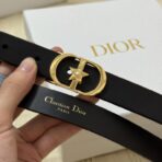 Dior 30 Montaigne Lucky Charms 腰带 黑色金色扣 - 图片 2