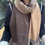 Hermes · 围巾 渐变拼色设计搭配镂空马车标志 - 图片 2