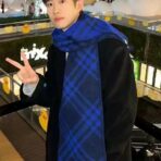 巴宝莉(Burberry) 全智贤同款双面格子围巾 深蓝色 - 图片 4