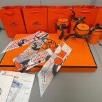 爱马仕Hermes“优雅骑士”Twilly小丝巾 淡黄色 - 图片 3