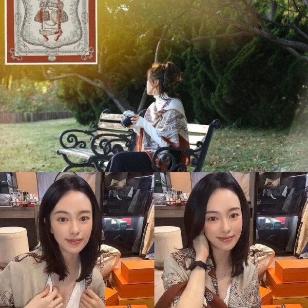 爱马仕棕色围巾 很多人的Dream Colour！