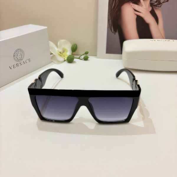 范思哲大框偏光墨镜