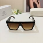 范思哲大框偏光墨镜  花色