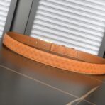 赛琳（Celine）Triomphe 系列橙色老花帆布皮革金色 Triomphe 扣腰带 - 图片 4