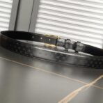 赛琳（Celine）Triomphe 系列黑色老花帆布皮革金色 Triomphe 扣腰带 - 图片 4