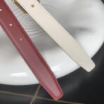 （Celine）红色小牛皮金色凯旋门扣双面女士腰带 - 图片 4